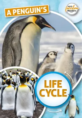 Životný cyklus tučniaka - Penguin's Life Cycle