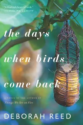 Dni, keď sa vtáky vracajú - The Days When Birds Come Back