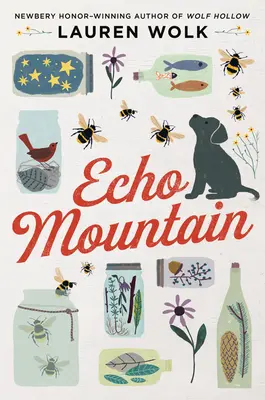 Hora ozveny - Echo Mountain