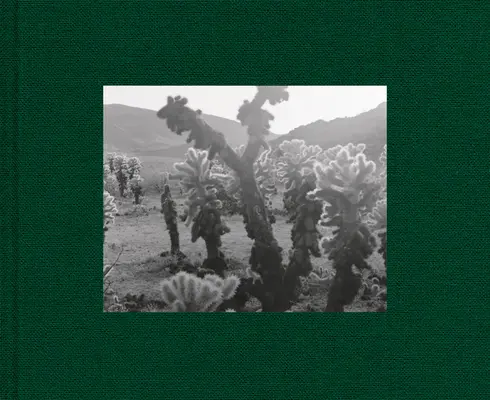 Diana Michenerová: Trance - Diana Michener: Trance
