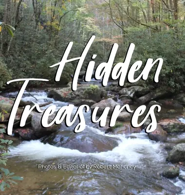 Skryté poklady: Ilustrovaný sprievodca hľadaním šťastia a uzdravenia v prírode - Hidden Treasures: An Illustrated Guide to Finding Happiness & Healing in Nature