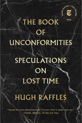 Kniha nezrovnalostí: V knihe: Špekulácie o stratenom čase - The Book of Unconformities: Speculations on Lost Time