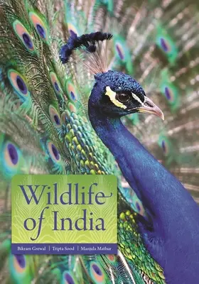 Divoká príroda Indie - Wildlife of India