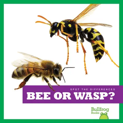 Včela alebo osa? - Bee or Wasp?