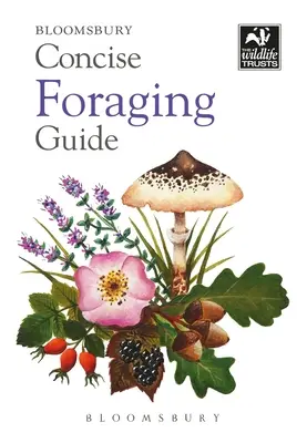 Stručný sprievodca hľadaním potravy - Concise Foraging Guide
