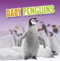 Mláďatá tučniakov - Baby Penguins
