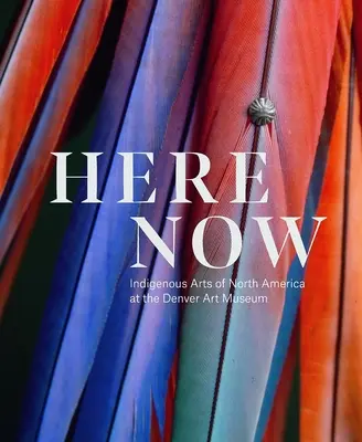 Tu a teraz: Domorodé umenie Severnej Ameriky v Denver Art Museum - Here, Now: Indigenous Arts of North America at the Denver Art Museum