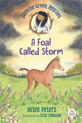 Jasmine Green Rescues: Žriebä menom Storm - Jasmine Green Rescues: A Foal Called Storm