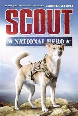 Skaut: Hrdina: Národný hrdina - Scout: National Hero