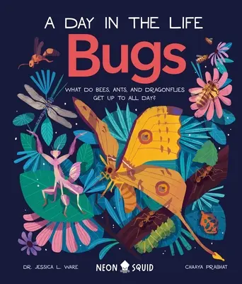 Chrobáci (Deň v živote): Čo robia včely, mravce a vážky celý deň? - Bugs (a Day in the Life): What Do Bees, Ants, and Dragonflies Get Up to All Day?