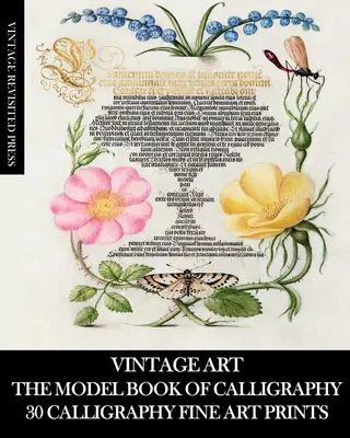 Vintage Art: Modigliani: Pôvodné umenie: Vzorová kniha kaligrafie: 30 kaligrafických výtvarných tlačí - Vintage Art: The Model Book of Calligraphy: 30 Calligraphy Fine Art Prints