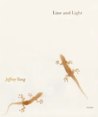 Čiary a svetlo: Básne - Line and Light: Poems
