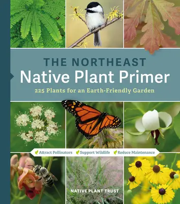 Severovýchodná príručka pôvodných rastlín: 235 rastlín pre záhradu šetrnú k Zemi - The Northeast Native Plant Primer: 235 Plants for an Earth-Friendly Garden