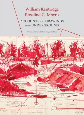 Účty a kresby z podzemia: Východný Rand: pokladničná kniha baní East Rand Proprietary Mines - Accounts and Drawings from Underground: The East Rand Proprietary Mines Cash Book