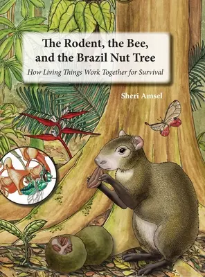 Hlodavec, včela a brazílsky orech: ako živé organizmy spolupracujú na prežití - The Rodent, the Bee, and the Brazil Nut Tree: How Living Things Work Together for Survival