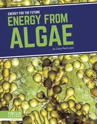 Energia z rias - Energy from Algae