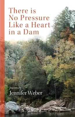 Nie je tlak ako srdce v priehrade - There is No Pressure Like a Heart in a Dam