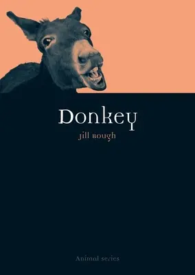 Osol - Donkey
