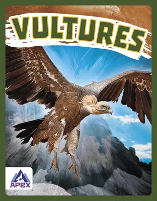 Supy - Vultures