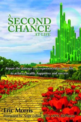 Druhá šanca na život: Náprava škôd, ktoré ste v živote zažili - A Second Chance at Life: Repairing the Damage You Have Experienced in Your Lives