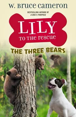 Lily na záchranu: Lily: Príbeh troch medveďov - Lily to the Rescue: The Three Bears