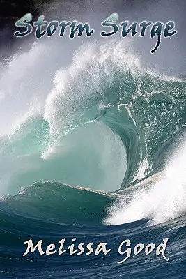 Búrkový príval - Storm Surge
