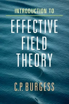 Úvod do efektívnej teórie poľa - Introduction to Effective Field Theory