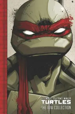 Teenage Mutant Ninja Turtles: Želvy: Kolekcia IDW, zväzok 1 - Teenage Mutant Ninja Turtles: The IDW Collection Volume 1