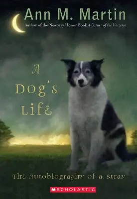 Život psa: (Scholastic Gold) - A Dog's Life: The Autobiography of a Stray (Scholastic Gold)