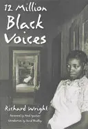12 miliónov čiernych hlasov - 12 Million Black Voices