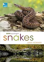 Hady v centre pozornosti Rspb - Rspb Spotlight Snakes