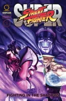 Super Street Fighter Omnibus: Boj v tieni: 1. vydanie: Boj v tieni - Super Street Fighter Omnibus: Fighting in the Shadows