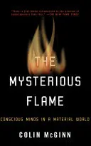 Tajomný plameň: Vedomé mysle v hmotnom svete - román - The Mysterious Flame: Conscious Minds in a Material World