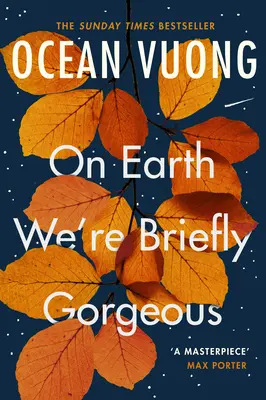 Na Zemi sme krátko nádherní - On Earth We're Briefly Gorgeous
