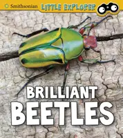Brilantní chrobáci - Brilliant Beetles
