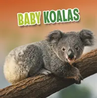 Mláďatá koál - Baby Koalas