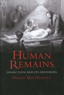 Ľudské pozostatky - Human Remains