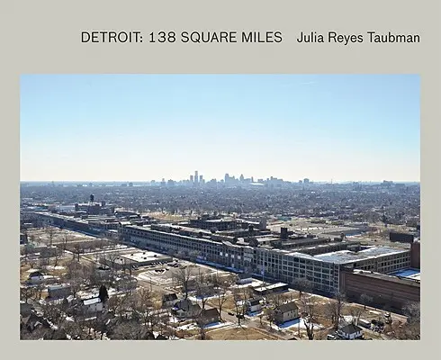 Julia Reyes Taubmanová: Detroit: 138 štvorcových míľ - Julia Reyes Taubman: Detroit: 138 Square Miles