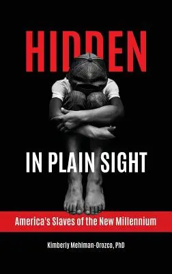 Skryté na prvý pohľad: Americkí otroci nového tisícročia - Hidden in Plain Sight: America's Slaves of the New Millennium