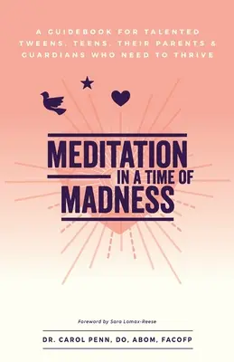 Meditácia v čase šialenstva: Príručka pre talentovaných tínedžerov, tínedžerov, ich rodičov a opatrovníkov, ktorí potrebujú prosperovať - Meditation in a Time of Madness: A Guidebook for Talented Tweens, Teens, Their Parents & Guardians Who Need to Thrive