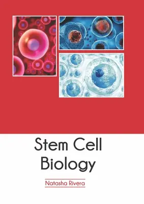 Biológia kmeňových buniek - Stem Cell Biology