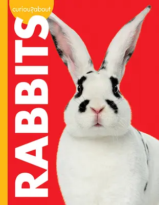 Zvedavosť na králiky - Curious about Rabbits