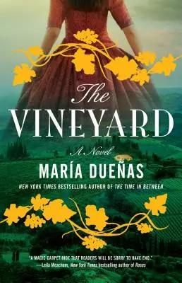 Vinice - The Vineyard