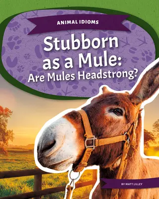 Tvrdohlavý ako mulica: Sú mulice tvrdohlavé? - Stubborn as a Mule: Are Mules Headstrong?