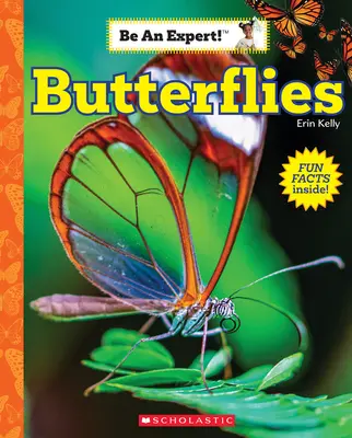 Motýle (Buď expert!) - Butterflies (Be an Expert!)