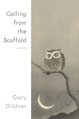 Volanie z lešenia: Básne - Calling from the Scaffold: Poems
