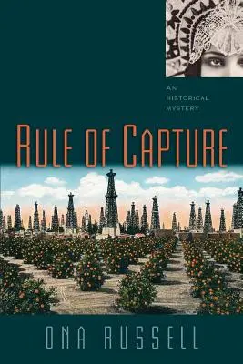 Vláda zajatia - Rule of Capture