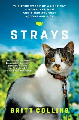 Zatúlané: Pravdivý príbeh stratenej mačky, bezdomovca a ich cesty naprieč Amerikou - Strays: The True Story of a Lost Cat, a Homeless Man, and Their Journey Across America