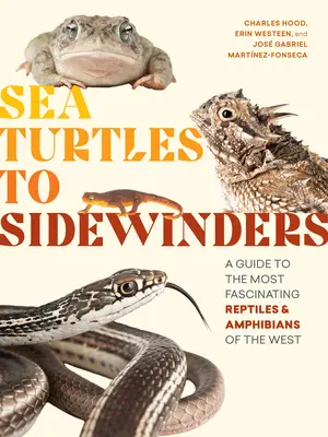 Od morských korytnačiek k bočným vetrom: Sprievodca po najfascinujúcejších plazoch a obojživelníkoch Západu - Sea Turtles to Sidewinders: A Guide to the Most Fascinating Reptiles and Amphibians of the West