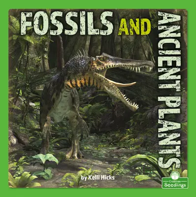 Skameneliny a staroveké rastliny - Fossils and Ancient Plants